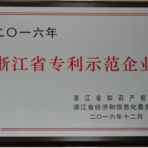湖州EVO视讯 浙江省专利示范企业