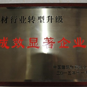湖州EVO视讯 建材行业转型升级 成效显著企业