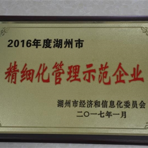 湖州EVO视讯 市精细化管理示范企业