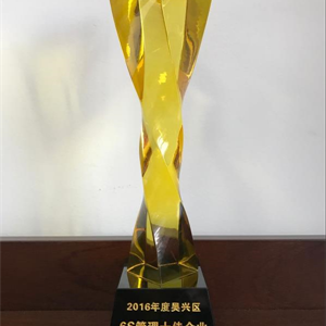 湖州EVO视讯 吴兴区6S管理十佳企业